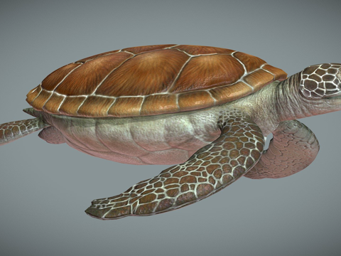 海龟低多边形su模型