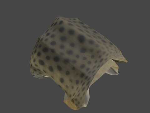 斑马鲨♂su模型