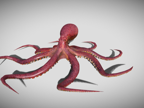 太平洋章鱼动画su模型