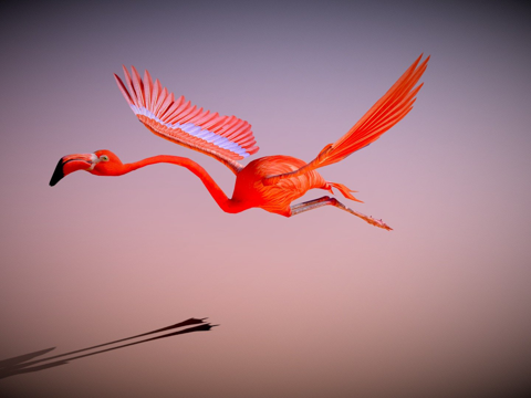 火烈鸟飞翔su模型