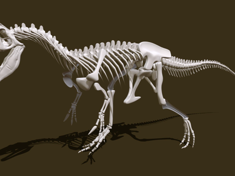 完整异特龙骨架su模型