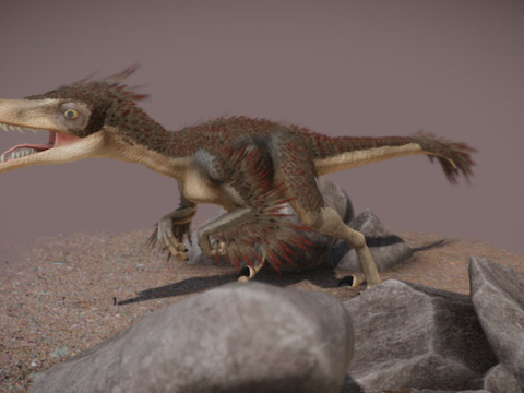 蒙古伶盗龙su模型