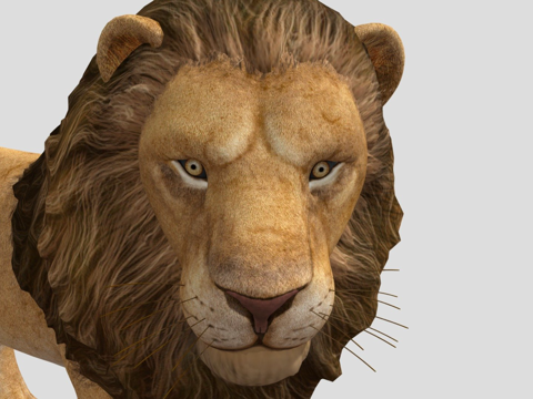 狮子su模型