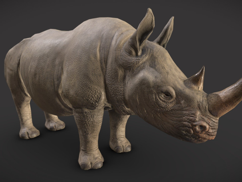 黑犀牛su模型