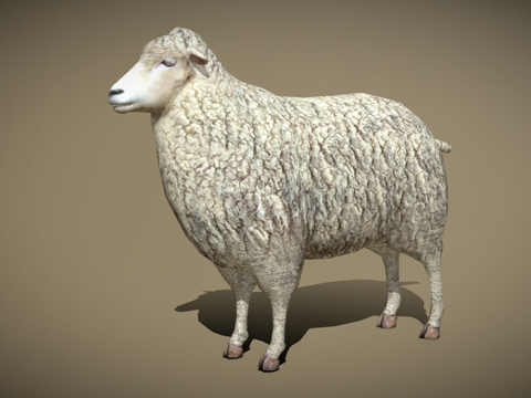 DRT-家畜-绵羊su模型
