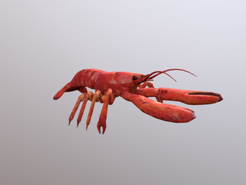  龙虾su模型 