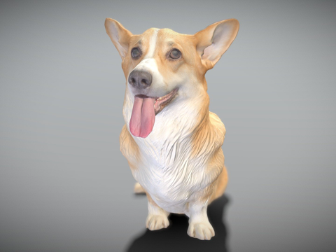 柯基犬坐姿02su模型