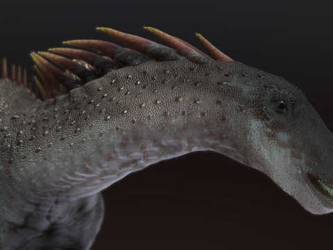 阿马加龙su模型