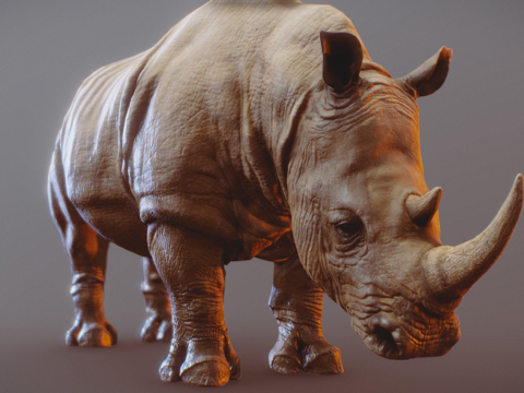 犀牛su模型