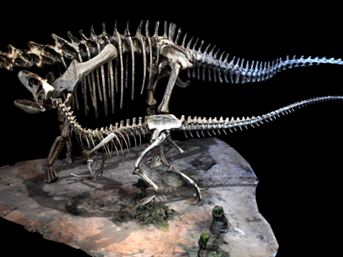 食蜥王龙与地震龙su模型