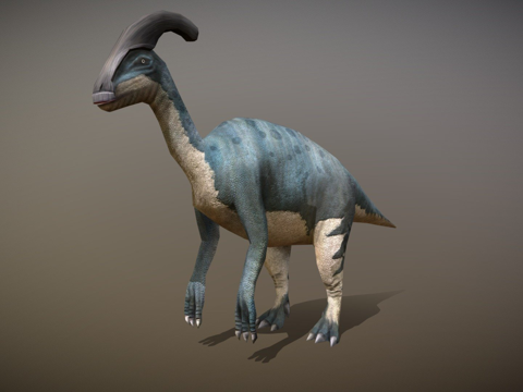 DRT恐龙-副栉龙su模型