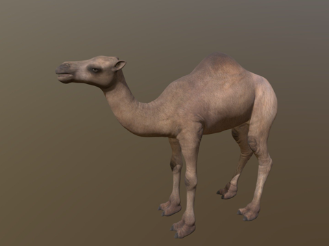 骆驼su模型