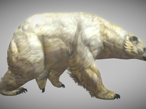 北极熊su模型