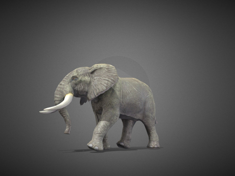 大象su模型