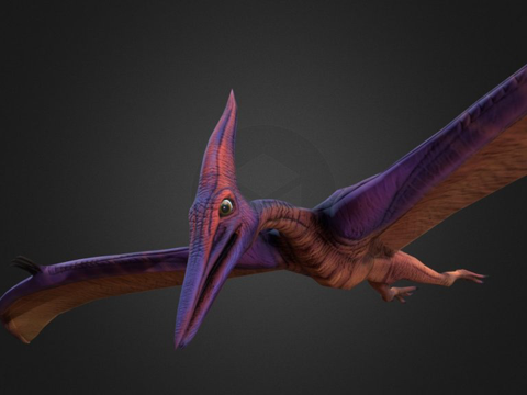 无齿翼龙飞行动画su模型