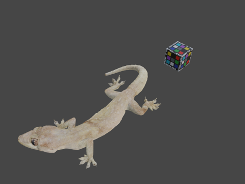 CC0家壁虎?su模型