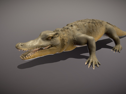 鳄鱼绑定su模型