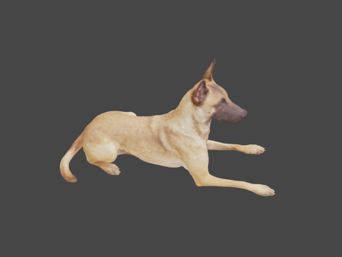 D模型K-9犬su模型