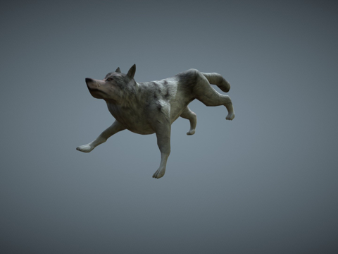 低多边形狼su模型