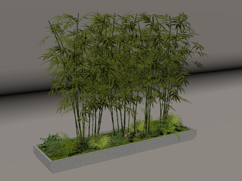 现代景观 竹子su模型