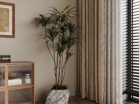 现代绿植 盆栽 植物su模型