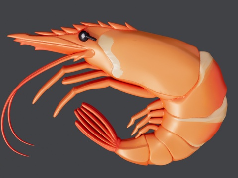 卡通小虾米虾仁su模型