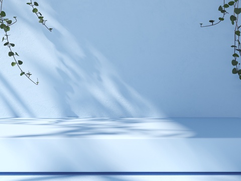 电商场景 产品场景 电商展台 店商背景 产品展台 静物展台su模型