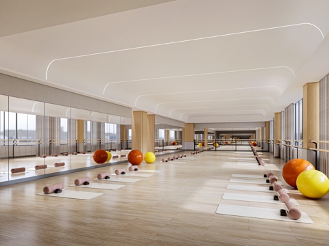 现代舞蹈教室 瑜伽室 体操室su模型