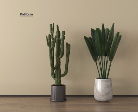 现代盆栽绿植盆栽su模型