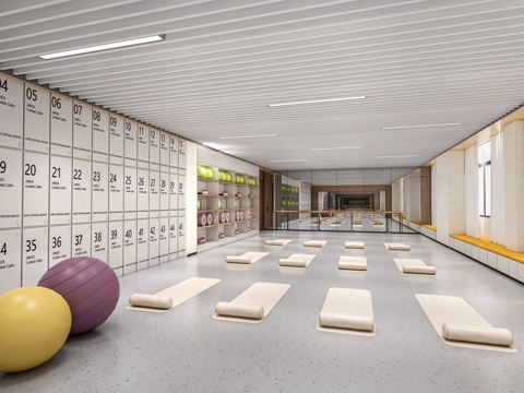 现代舞蹈教室 瑜伽室 体操室su模型