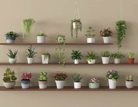 现代盆栽绿植盆栽su模型