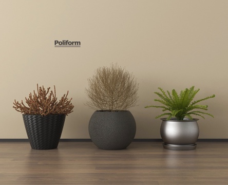  现代盆栽 绿植 盆栽 盆景3d模型 