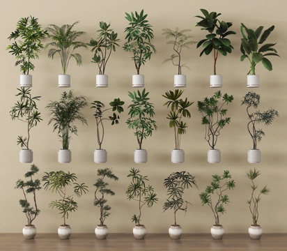 家居植物盆栽 绿植盆景su模型