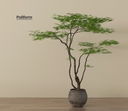 现代盆栽 绿植 盆景 陶罐su模型