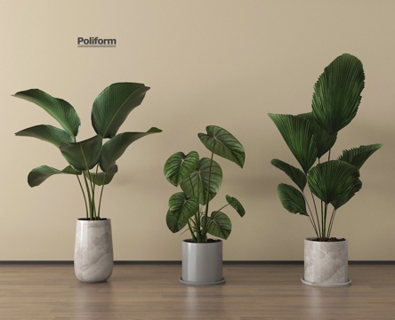 家居植物盆栽 绿植盆景su模型