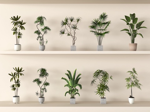 家居绿植组合 盆栽绿植 植物盆栽su模型