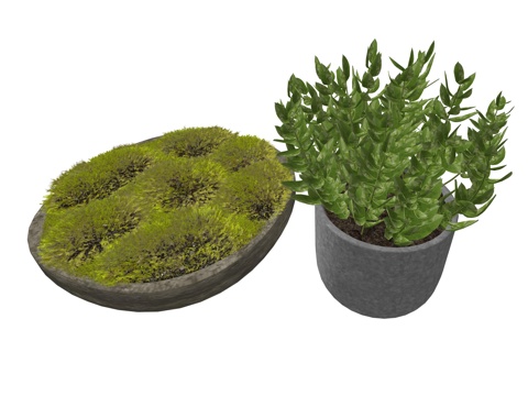 现代盆栽植物su模型