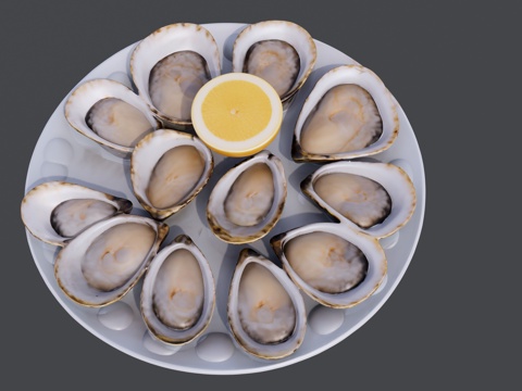 一盘海鲜扇贝菜品su模型