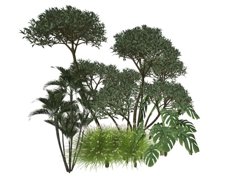 现代植物景观组合su模型