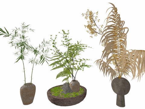 侘寂风植物桌面装饰摆件su模型
