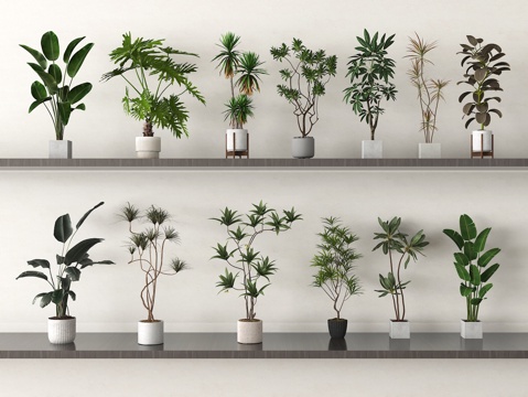 家居绿植组合 盆栽绿植 植物盆栽su模型