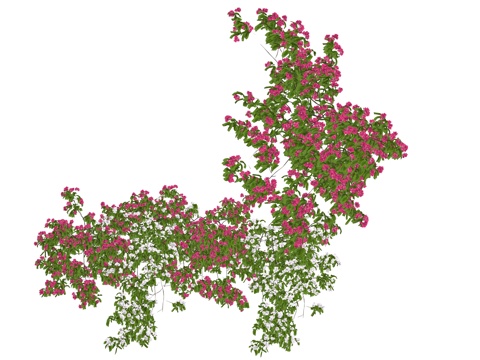 现代藤蔓花墙植物su模型su模型