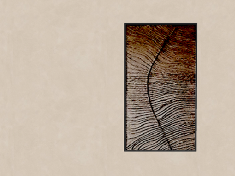 中古风画su模型