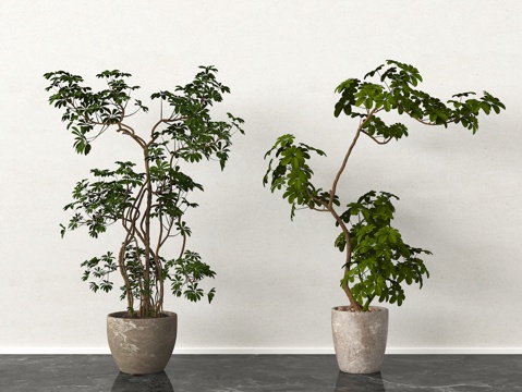 家居绿植 盆栽 盆景su模型