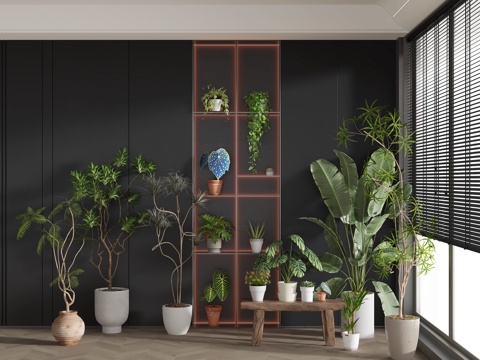 绿植 盆栽 小绿植 植物 绿萝 天堂鸟su模型