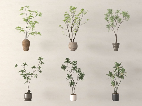 家居绿植盆栽  盆栽盆景su模型su模型