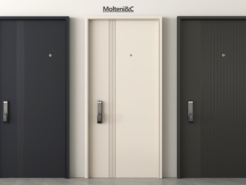 现代入户门 防盗门 入户大门 密码锁门 指纹锁 安全门 单开su模型