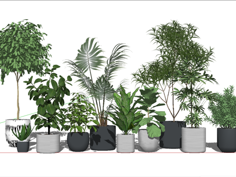 现代植物组合盆栽su模型