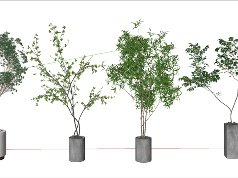 现代植物组合盆栽su模型