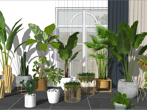 现代植物组合盆栽su模型